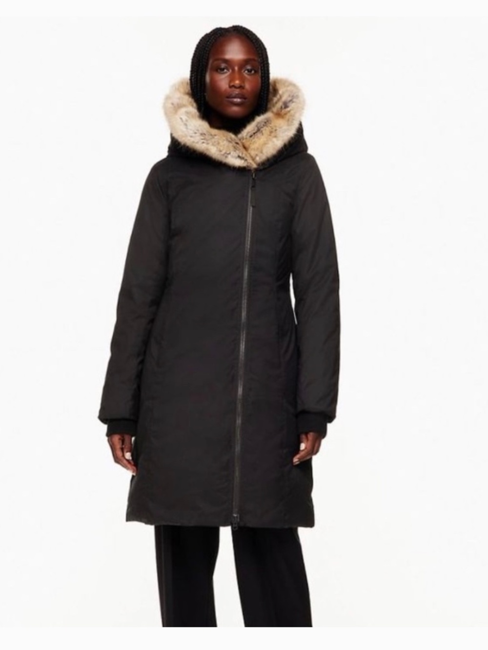 Aritzia Babaton St Moritz Parka